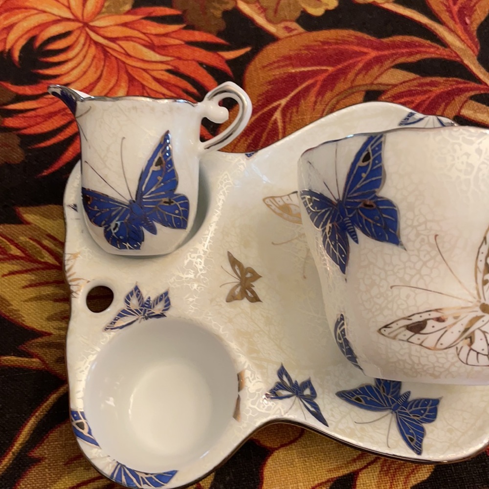 Butterfly Cup and Saucer Set